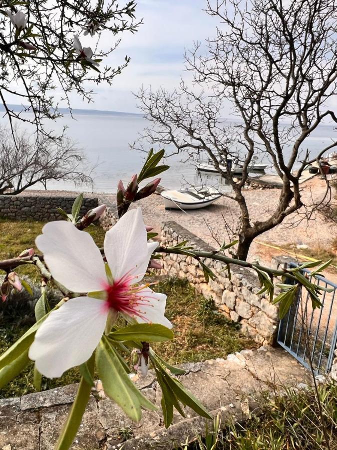 Apartmani Tin Starigrad Paklenica Exterior photo
